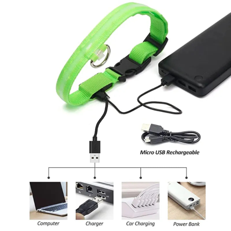 GlowPaw LED Collar