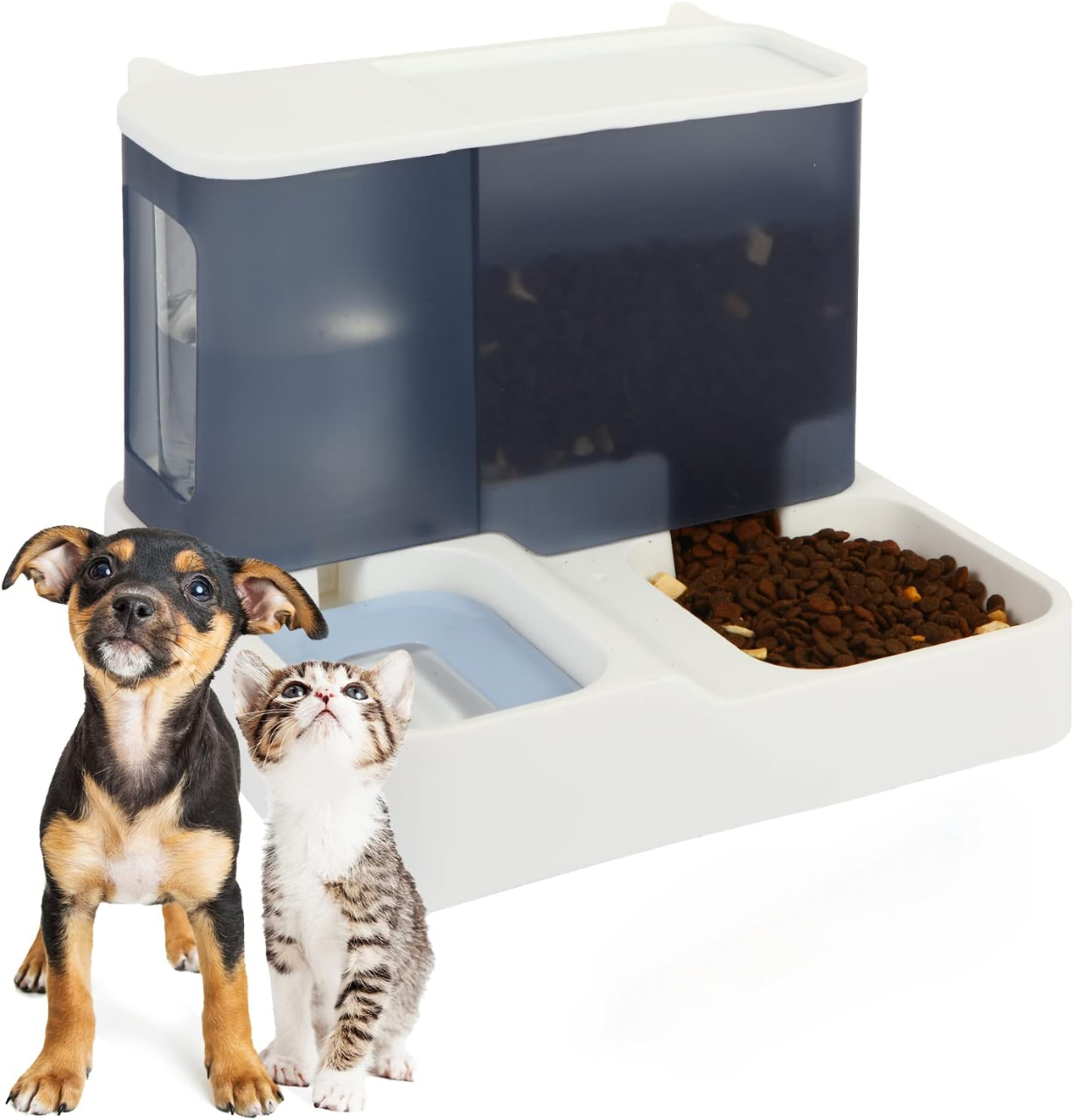 PawServe 2-in-1 Pet Feeder