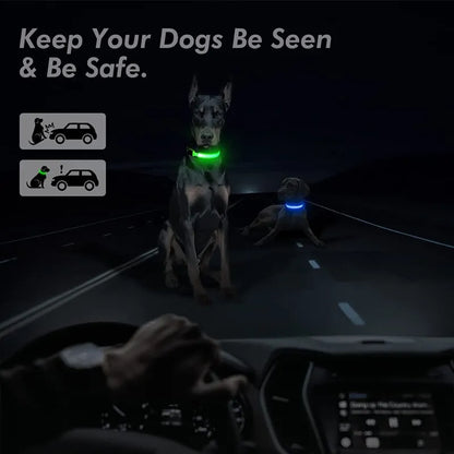 GlowPaw LED Collar