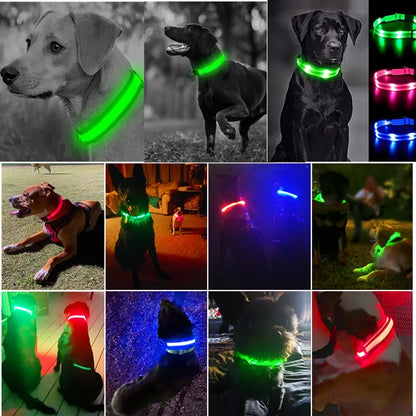 GlowPaw LED Collar
