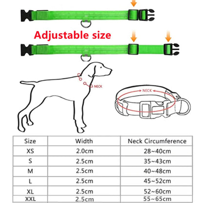 GlowPaw LED Collar
