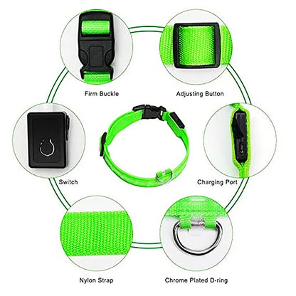 GlowPaw LED Collar