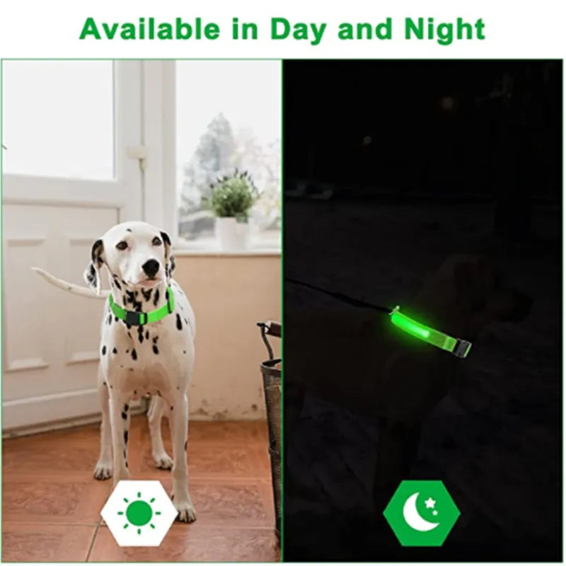GlowPaw LED Collar
