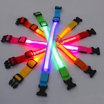 GlowPaw LED Collar
