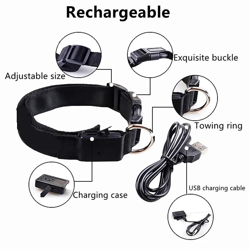 GlowPaw LED Collar