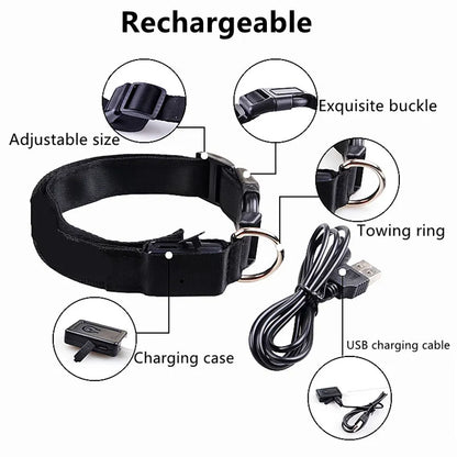 GlowPaw LED Collar
