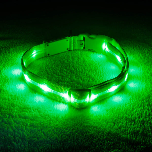 GlowPaw LED Collar