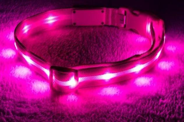 GlowPaw LED Collar