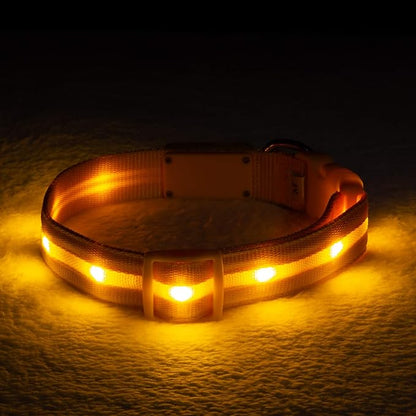 GlowPaw LED Collar
